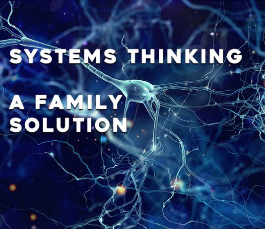 Systems Thinking can be a family solution